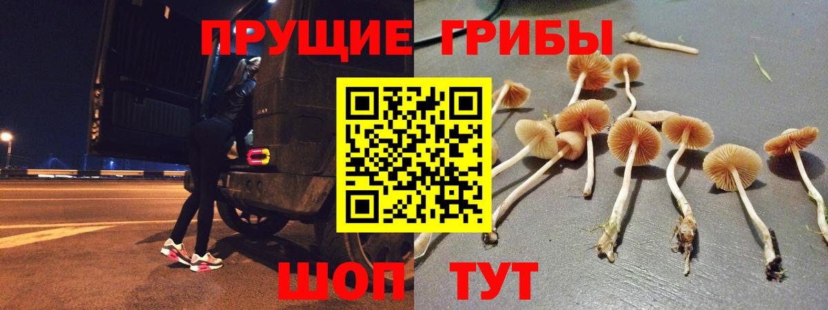Псилоцибиновые грибы мухоморы  Вход с VPN  Зима 